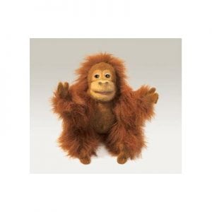 Orangutan - Baby