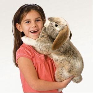 Rabbit - Holland Lop